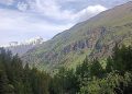 La produttività delle foreste guida il carbon sink dell'Eurasia settentrionale