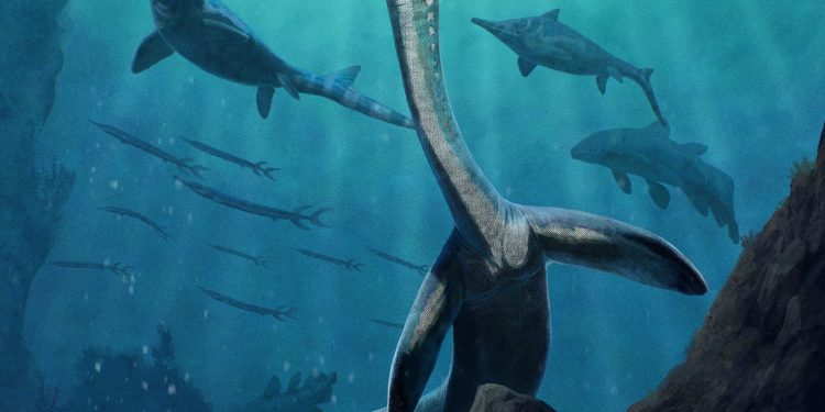 Fossile di 245 milioni di anni svela gli organi di un rettile marino