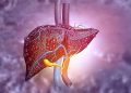 Fibrosi epatica e rischio cardiovascolare: il ruolo della glicemia