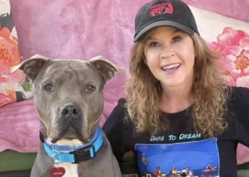 Ispezione nella proprietà di Linda Blair per un canile con oltre 200 cani
