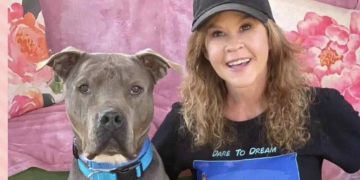 Ispezione nella proprietà di Linda Blair per un canile con oltre 200 cani
