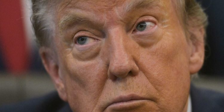 Trump annulla i nuovi raid sull'Iran: "Vicini a un accordo"