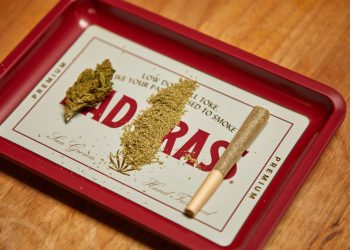 Cannabinoidi dalla canapa: marketing per giovani su Instagram