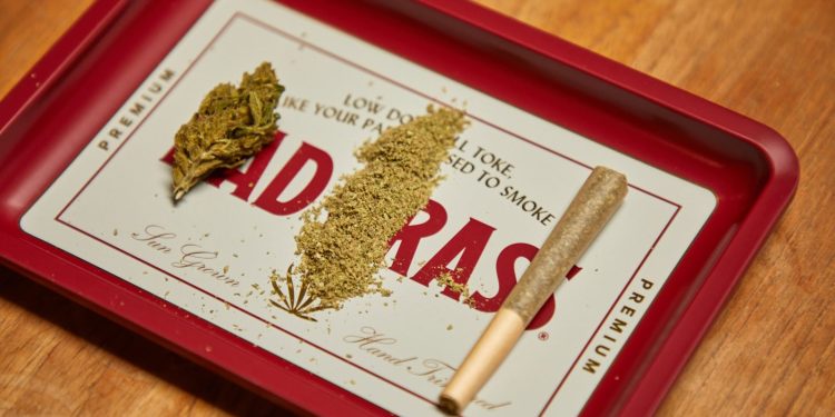 Cannabinoidi dalla canapa: marketing per giovani su Instagram