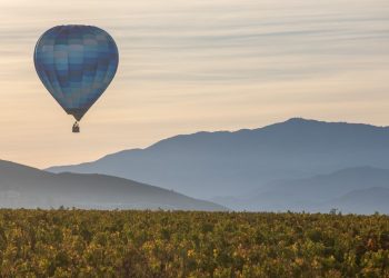 Temecula, la California del vino che sa di Toscana